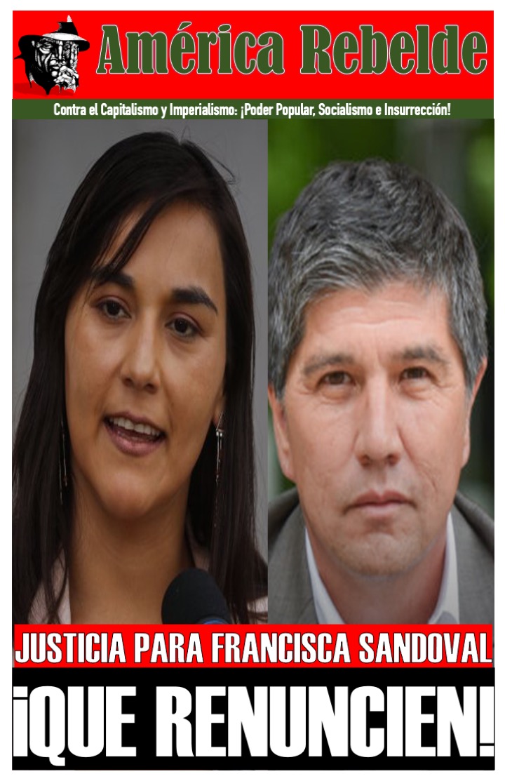 CHILE: ¿QUIÉNES SON LOS QUE DISPARARON A LA REPORTERA FRANCISCA SANDOVAL?
